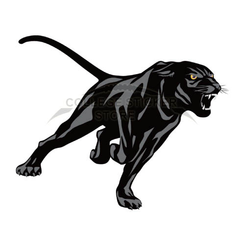 Homemade Prairie View A M Panthers Iron-on Transfers (Wall Stickers)NO.5920